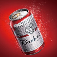 【 EXW KUNMING 】Budweiser Beer 330ML*24